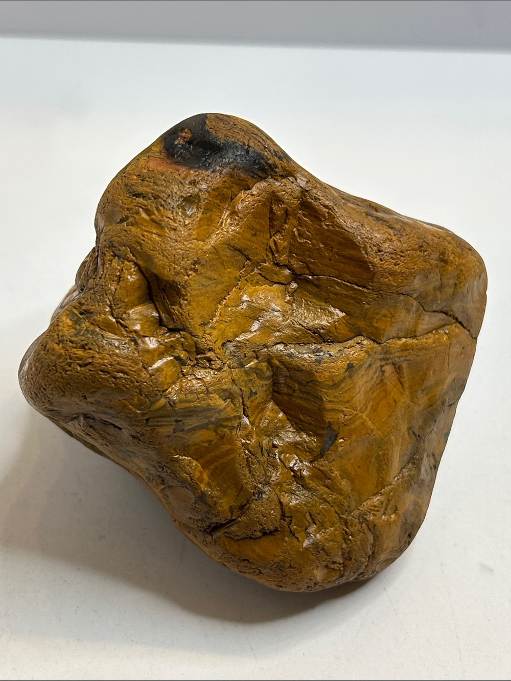 Black Hills Petrified Wood Fossil Specimen 3.5” x 3.5” Polished Exact Piece SD
